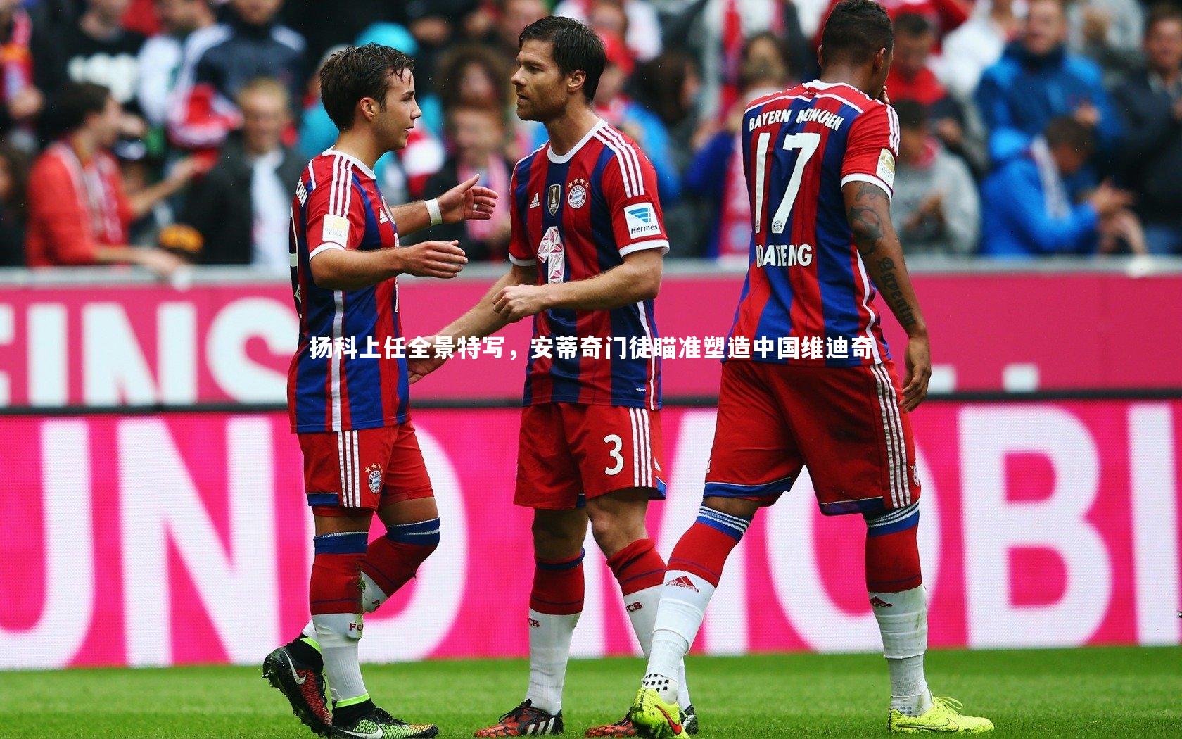 扬科上任全景特写，安蒂奇门徒瞄准塑造中国维迪奇