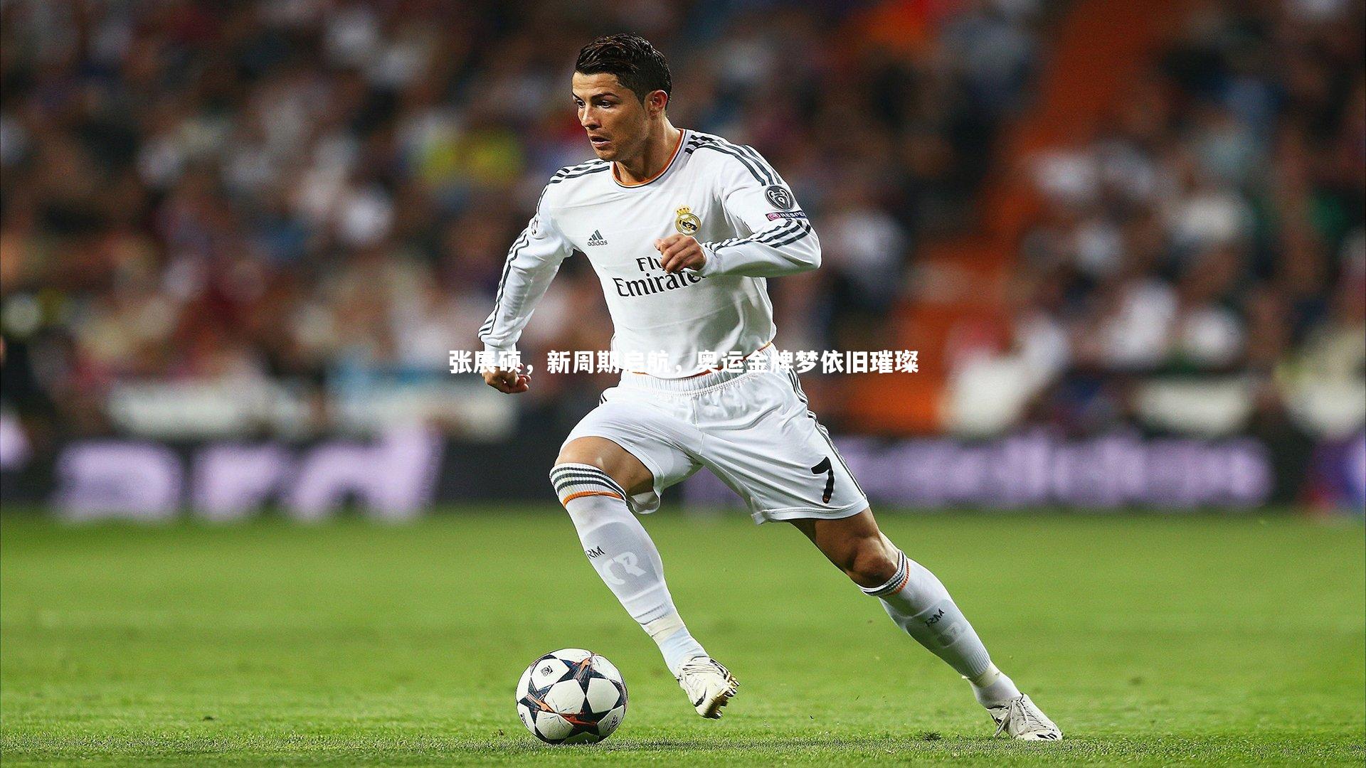 张展硕，新周期启航，奥运金牌梦依旧璀璨