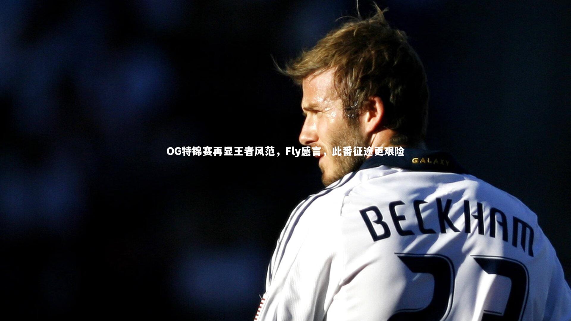 OG特锦赛再显王者风范，Fly感言，此番征途更艰险